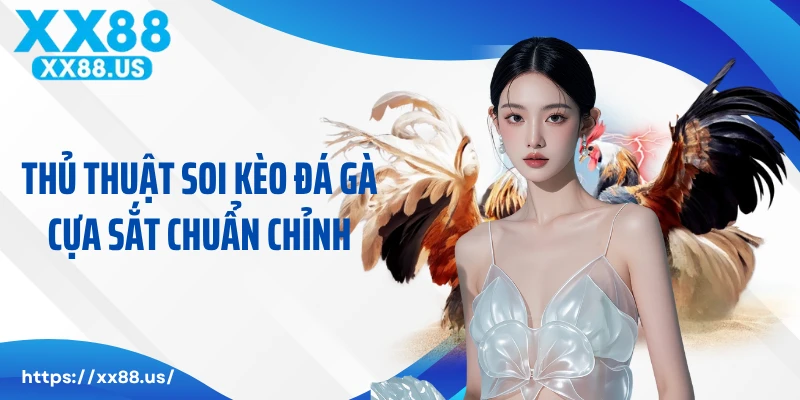 Thủ thuật soi kèo đá gà cựa sắt chuẩn chỉnh